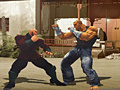 Ойын The Perfect Fighter