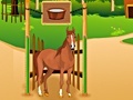 Ойын Horse Care Apprenticship