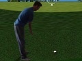 Ойын Flash Golf 3D