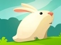 Ойын Greedy Rabbit