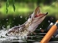 Ойын Morning catch