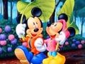 Ойын Mickey Love-HS