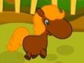 Ойын Pony Races