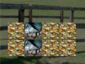 Ойын Horse Memo Deluxe