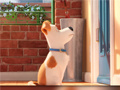 Ойын Hidden Letters in The Secret Life of Pets