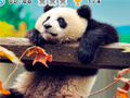 Ойын Animal Habitats: Find Items