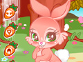 Ойын Cute Bunny