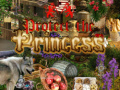 Ойын Protect the Princess