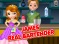 Ойын James Real Bartender