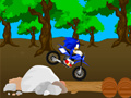 Ойын Cross Sonic Race 