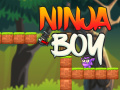 Ойын Ninja Boy