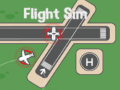 Ойын Flight Sim