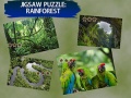 Ойын Jigsaw Puzzle Rain Forest 