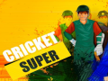 Ойын Super Cricket      