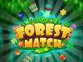 Ойын Forest Match