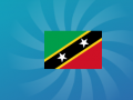 Ойын Guess The Flag