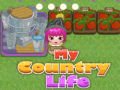 Ойын My County Life