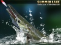 Ойын Summer Lake