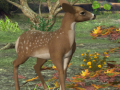 Ойын Spot The differences Spring in the Woods