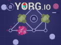 Ойын Yorg.io