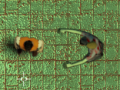 Ойын Maze Of Infection