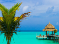 Ойын Tropical Paradise