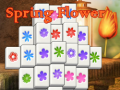 Ойын Spring Flower