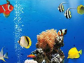 Ойын Sea Underwater Difference