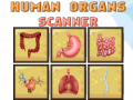 Ойын Human Organs Scanner