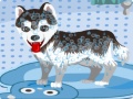 Ойын My Cute Dog Bathing