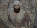 Ойын Vikings Aggression