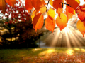 Ойын Jigsaw Puzzle: Autumn