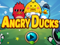 Ойын Angry Ducks