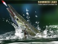 Ойын Summer Lake 1.5