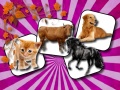 Ойын Domestic Animal Memory Challenge