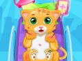 Ойын Little Cat Doctor
