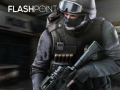 Ойын Flashpoint