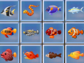 Ойын Find The Fish