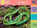 Ойын 15 Picture Quiz