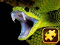 Ойын Snake Puzzle Challenge