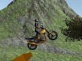 Ойын Dirt Bike Rider