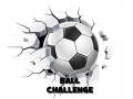 Ойын Ball Challenge