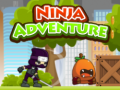 Ойын Ninja Adventure