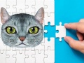Ойын Abyssinian Puzzle Challenge