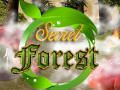 Ойын Secret Forest