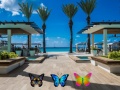 Ойын Find 100 butterflies
