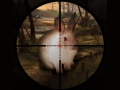 Ойын Classical Rabbit Sniper Hunting 2019