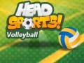 Ойын Head Sports Volleyball