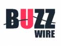 Ойын Buzz Wire