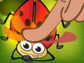 Ойын Insect Cush